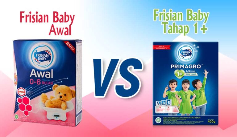 Perbedaan Frisian Baby Awal dan Tahap 1